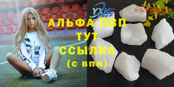 прущие грибы Абинск