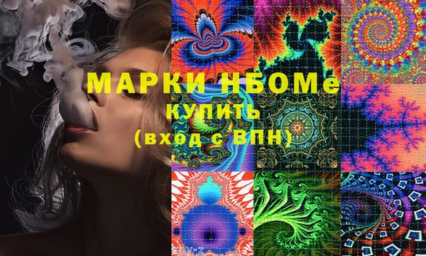 прущие грибы Абинск