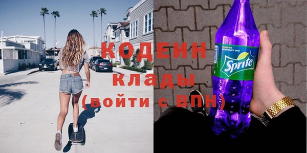 прущие грибы Абинск