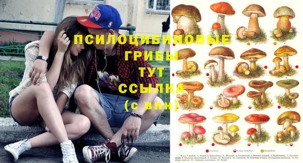 хмурый Алексин