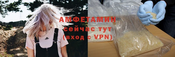 хмурый Алексин