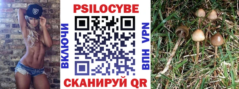 Псилоцибиновые грибы мицелий Учалы