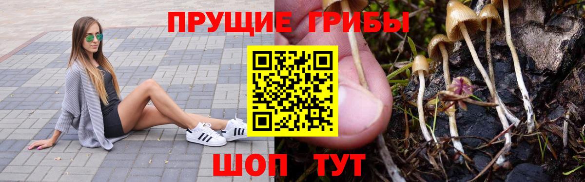 Учалы  Галлюциногенные грибы прущие грибы  Псилоцибиновые грибы прущие грибы  Вход с VPN 